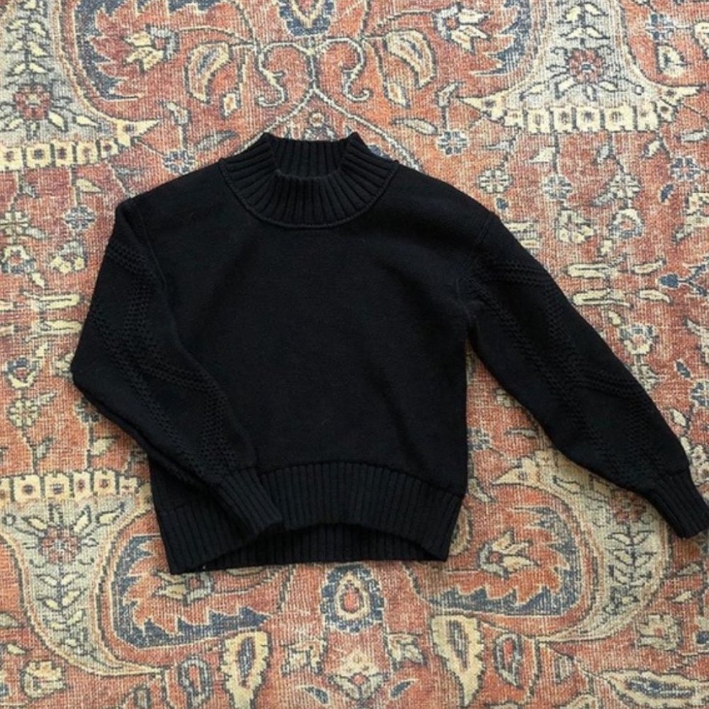 EUC Everlane Mockneck Sweater